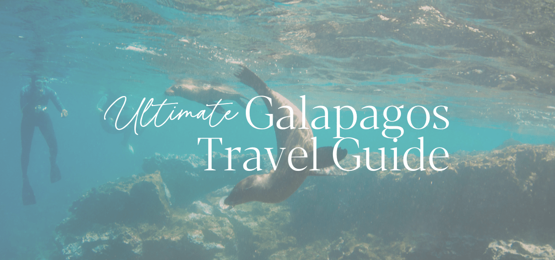 Discover the wonders of Galapagos Islands travel with our comprehensive guide. From unique wildlife encounters to pristine landscapes, embark on the adventure of a lifetime. Let us be your trusted resource for planning your dream trip to the Galapagos Islands today!